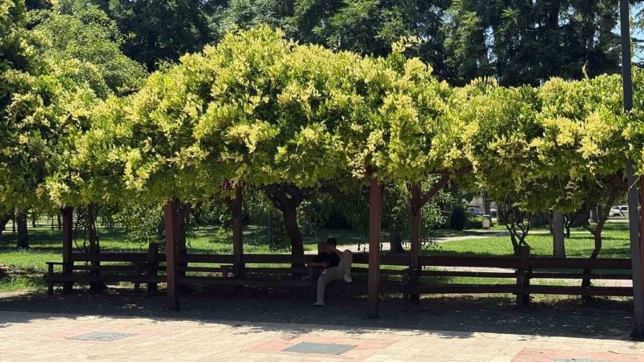Adana'da Termometreler 42 Dereceyi Gördü (2)