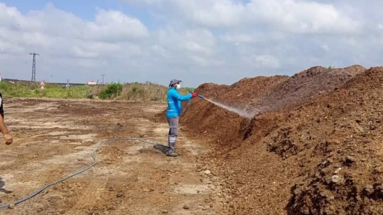 Akdeniz Meyve Sineği Ile Mücadelede Hangi Adımlar Atılıyor (2)