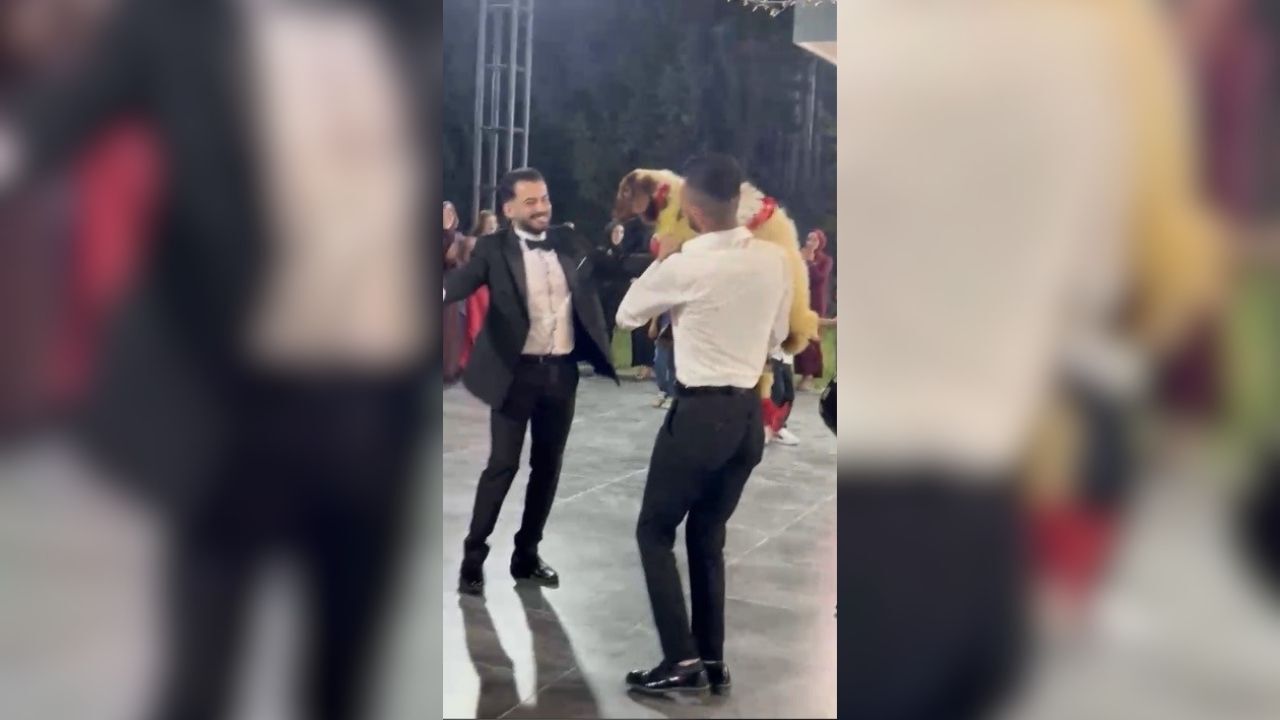 Altın Beklerken Kuzu Geldi! Osmaniye'deki Düğünde Şaşırtan Manzarai