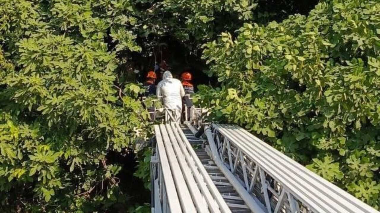 Antakya Maşuklu Mahallesi'nde Korkunç Olay Nasıl Meydana Geldi (2)