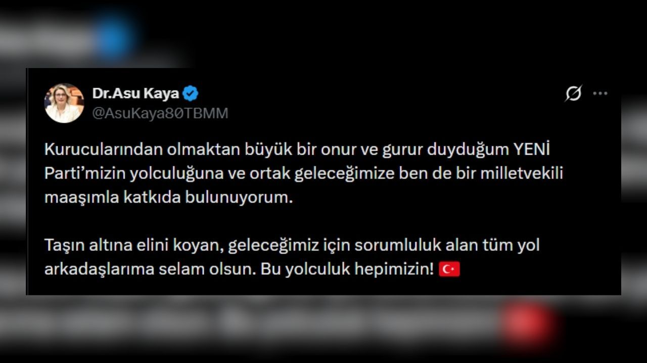 Asu Kaya Yeni Parti Bağış