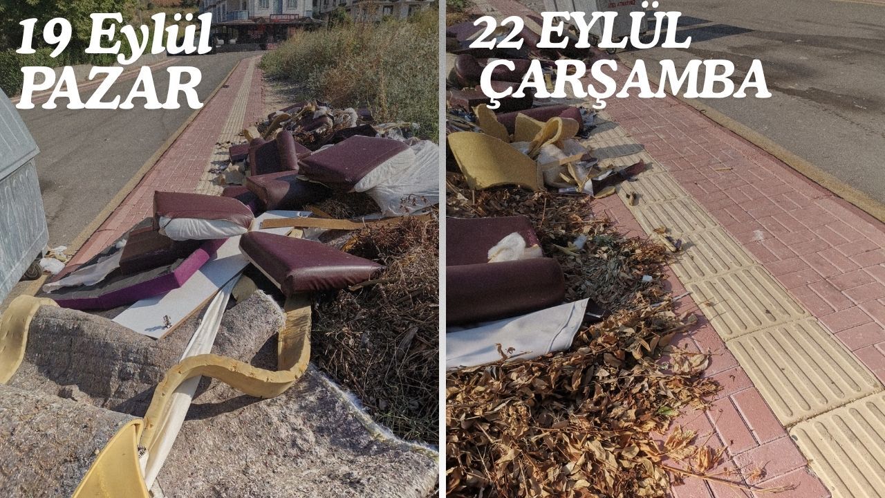 Biri İzmarit Atsa Yangın Çıkacak! Fakıuşağı'nda İhmal İddiası