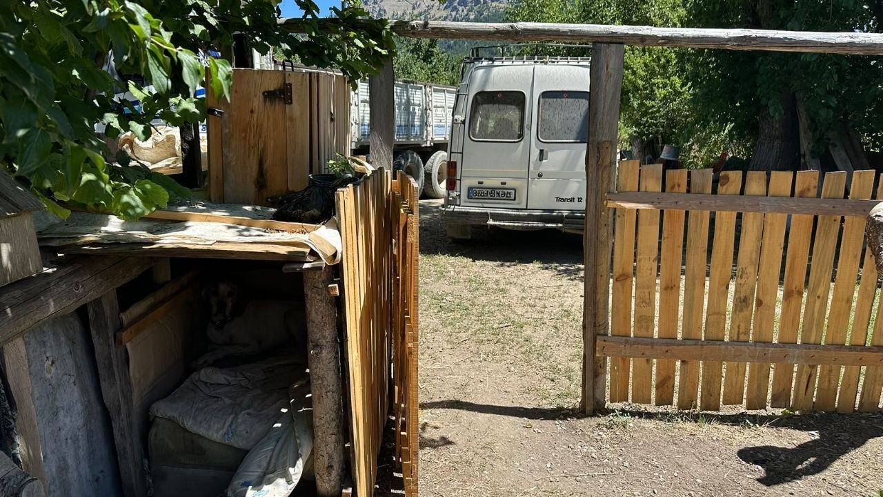 Çiğşar Köyü’nün Sevimli Sakinler (1)