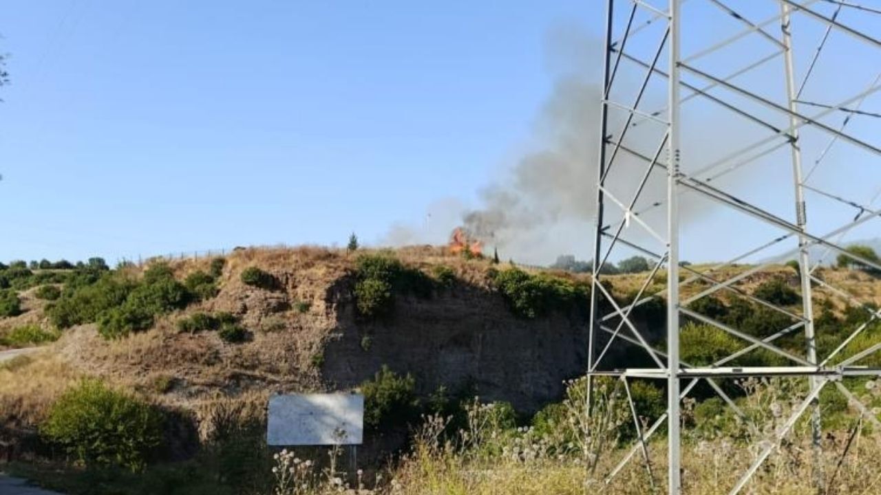 Düziçi Üçgüllü Tepe Mesire Alanında Yangın! (1)