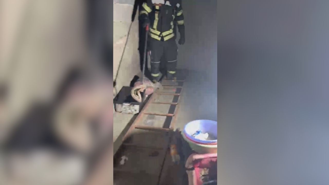Evde Zehirli Engerek Çıktı! İtfaiyeden Vatandaşlara Kritik Uyarı