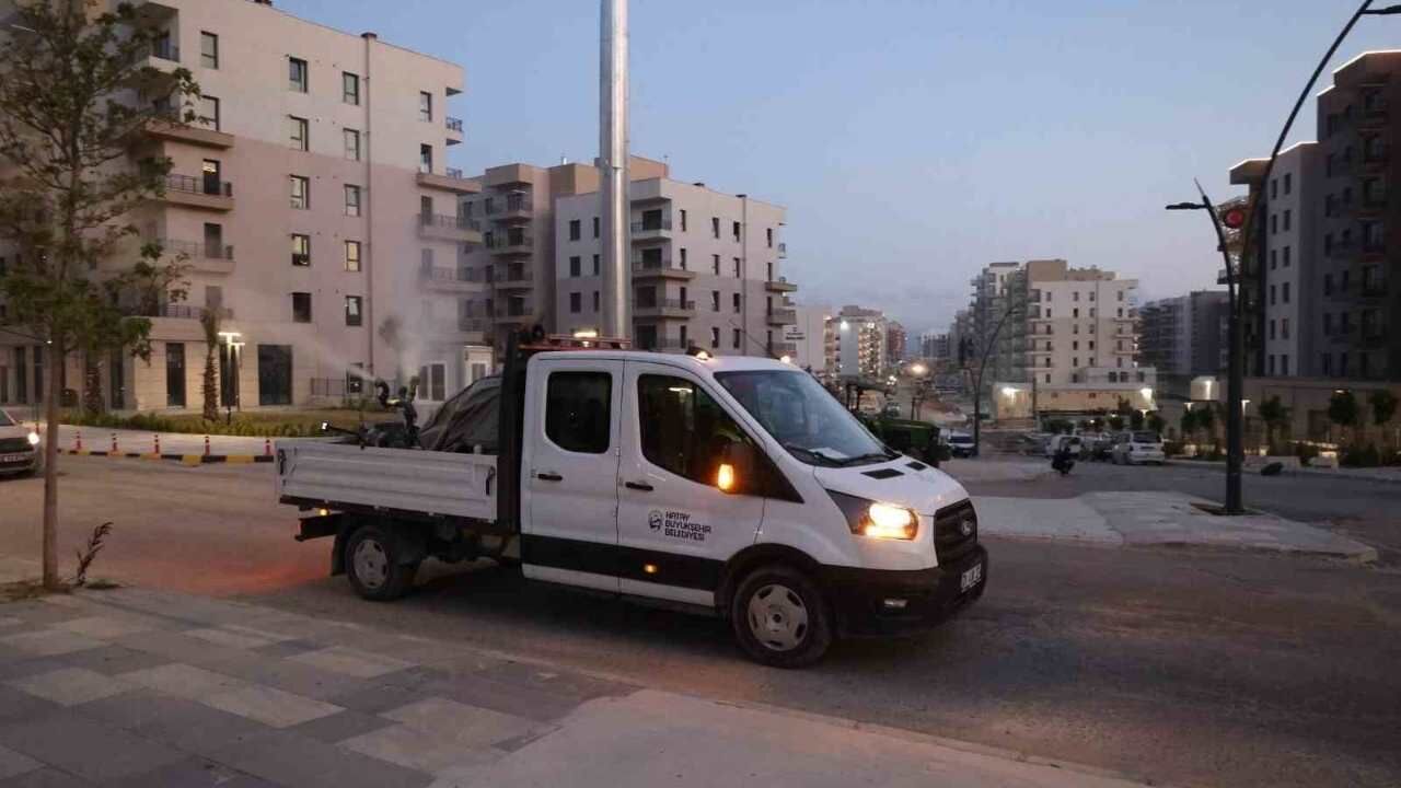 Hatay Genelinde Haşere Mücadelesi Yürütülüyor (2)