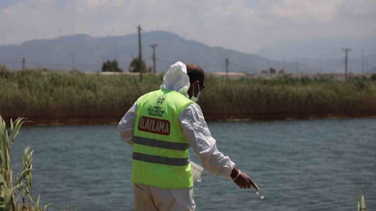 Hatay Genelinde Ilaçlama Çalışmaları Yürütülüyor (2)