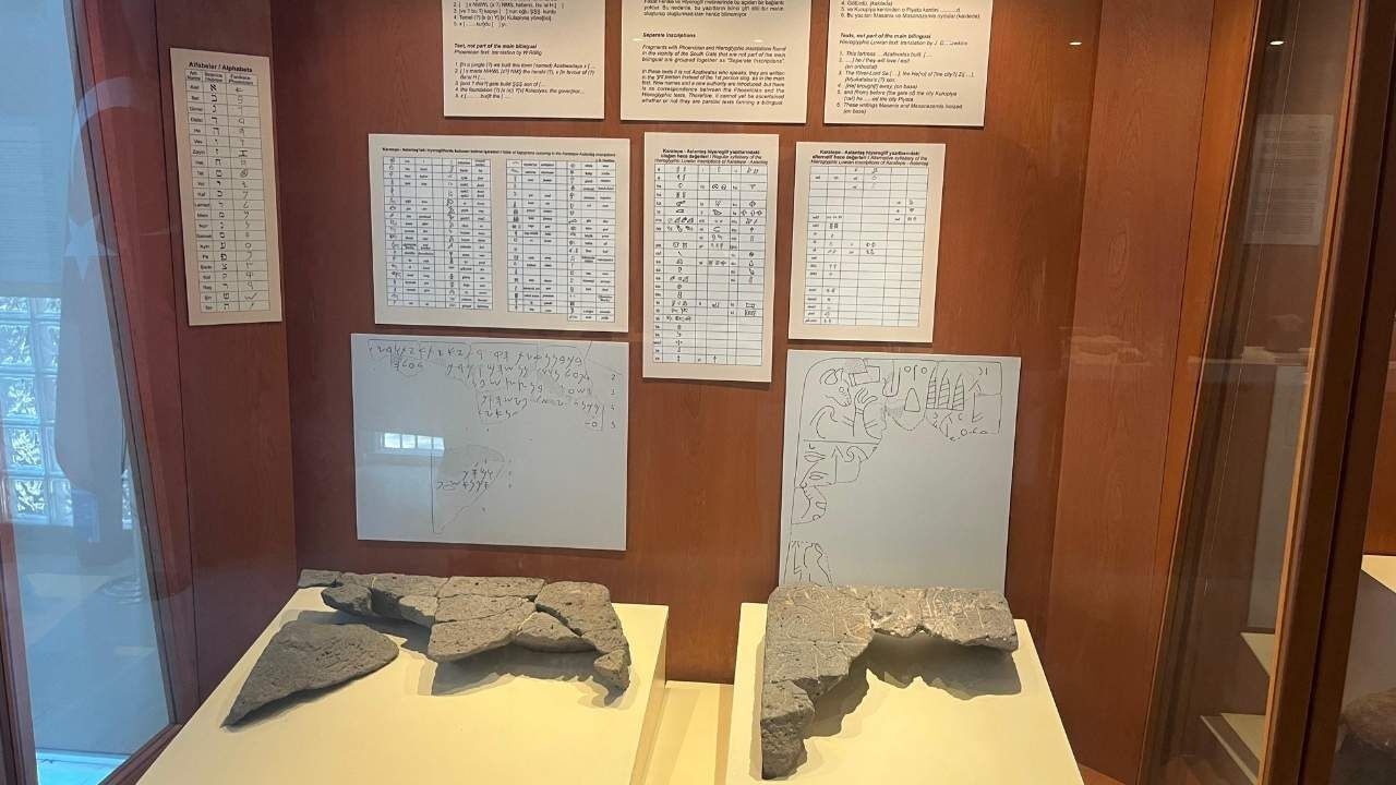 Osmaniye Karatepe Aslantaş'ın Kapalı Salonunda Neler Saklı (1)