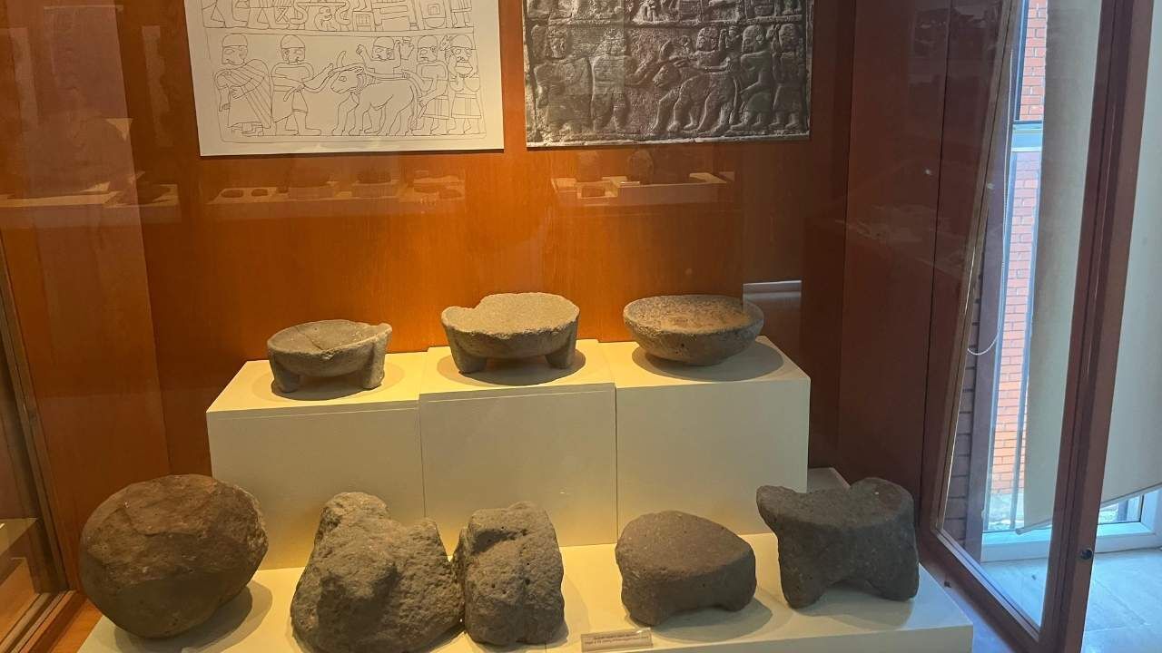 Osmaniye Karatepe Aslantaş'ın Kapalı Salonunda Neler Saklı (2)