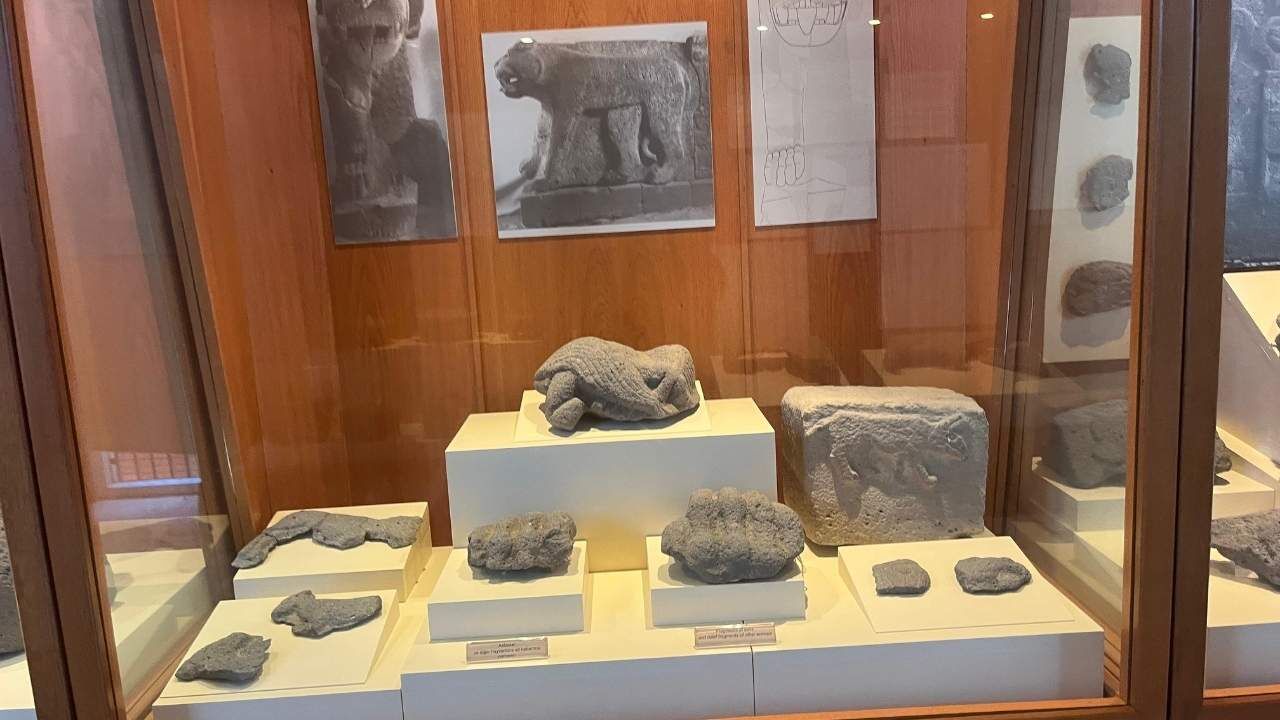 Osmaniye Karatepe Aslantaş'ın Kapalı Salonunda Neler Saklı (4)