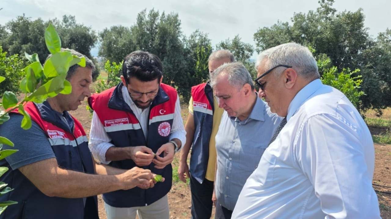 Osmaniye Tarımında Doğa Dostu Yeni Dönem Başladı (2)