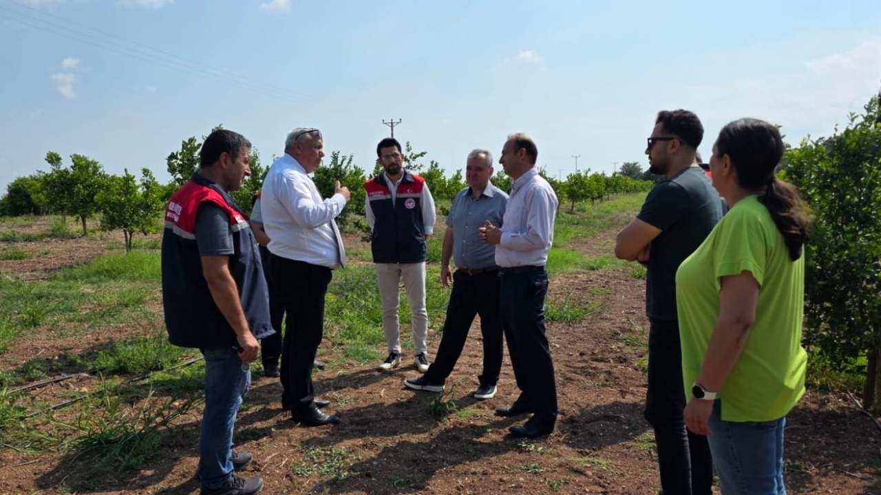 Osmaniye Tarımında Doğa Dostu Yeni Dönem Başladı (3)
