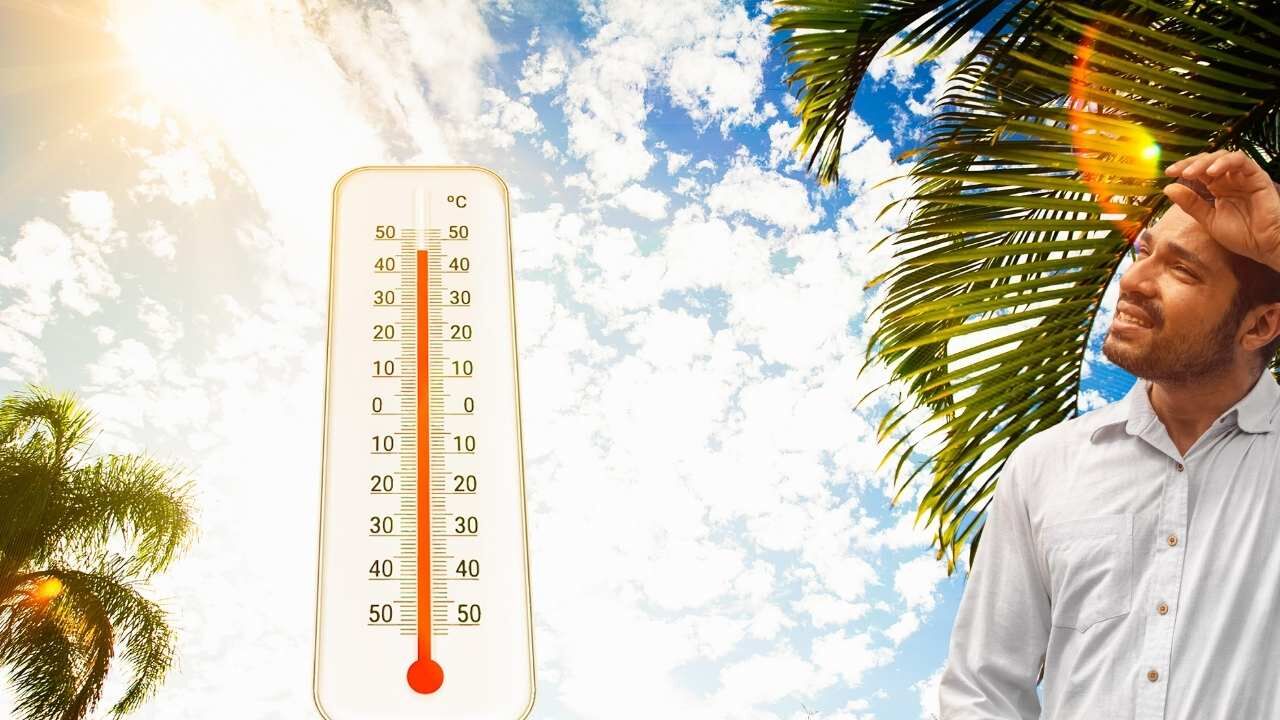 Osmaniye'de Aşırı Sıcaklık (4)