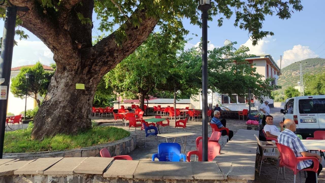 Osmaniye’de Asırlık Çınar Gölgesiyle Vatandaşlara Nefes Oldu (3)
