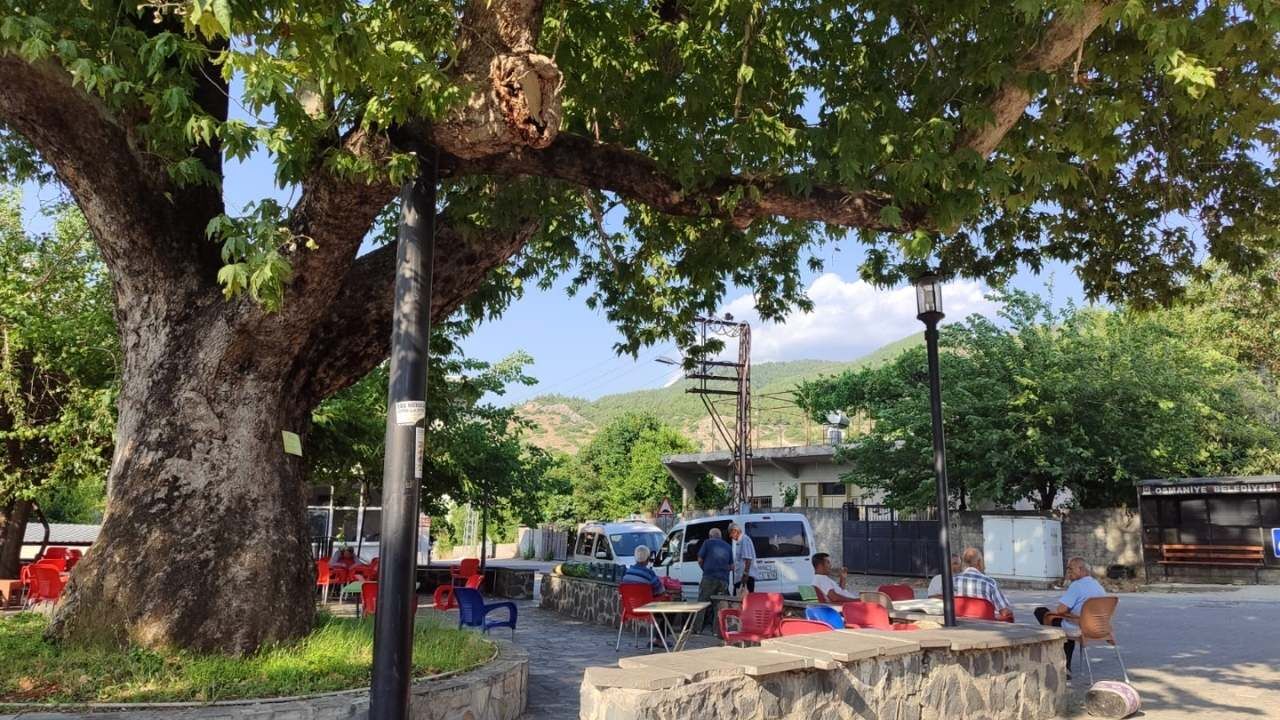 Osmaniye’de Asırlık Çınar Gölgesiyle Vatandaşlara Nefes Oldu (7)