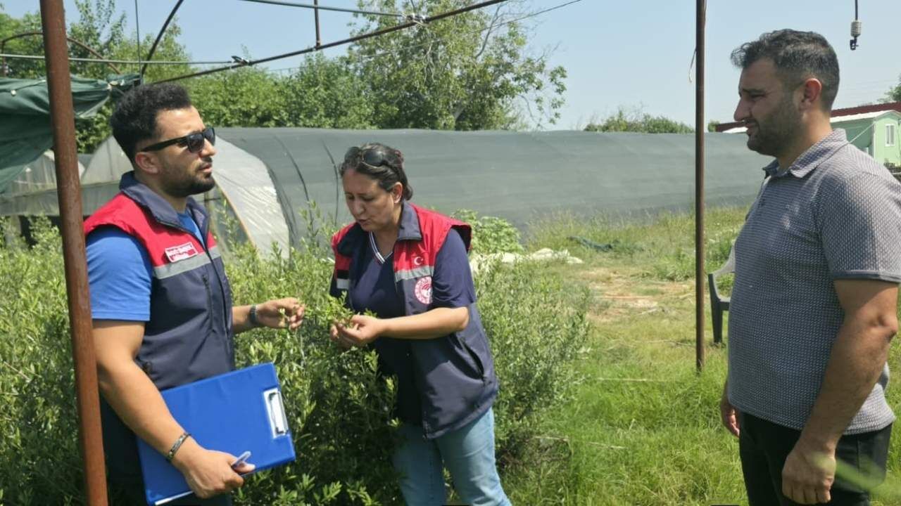 Osmaniye'de Bitki Pasaportu Denetimi (2)