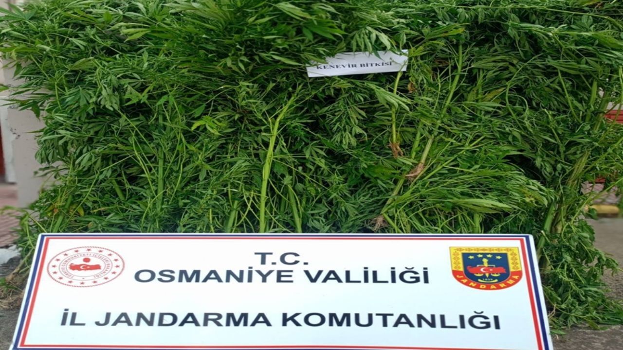 Osmaniye'de Dev Jandarma Operasyonu 122 Şüpheli Yakalandı! (2)