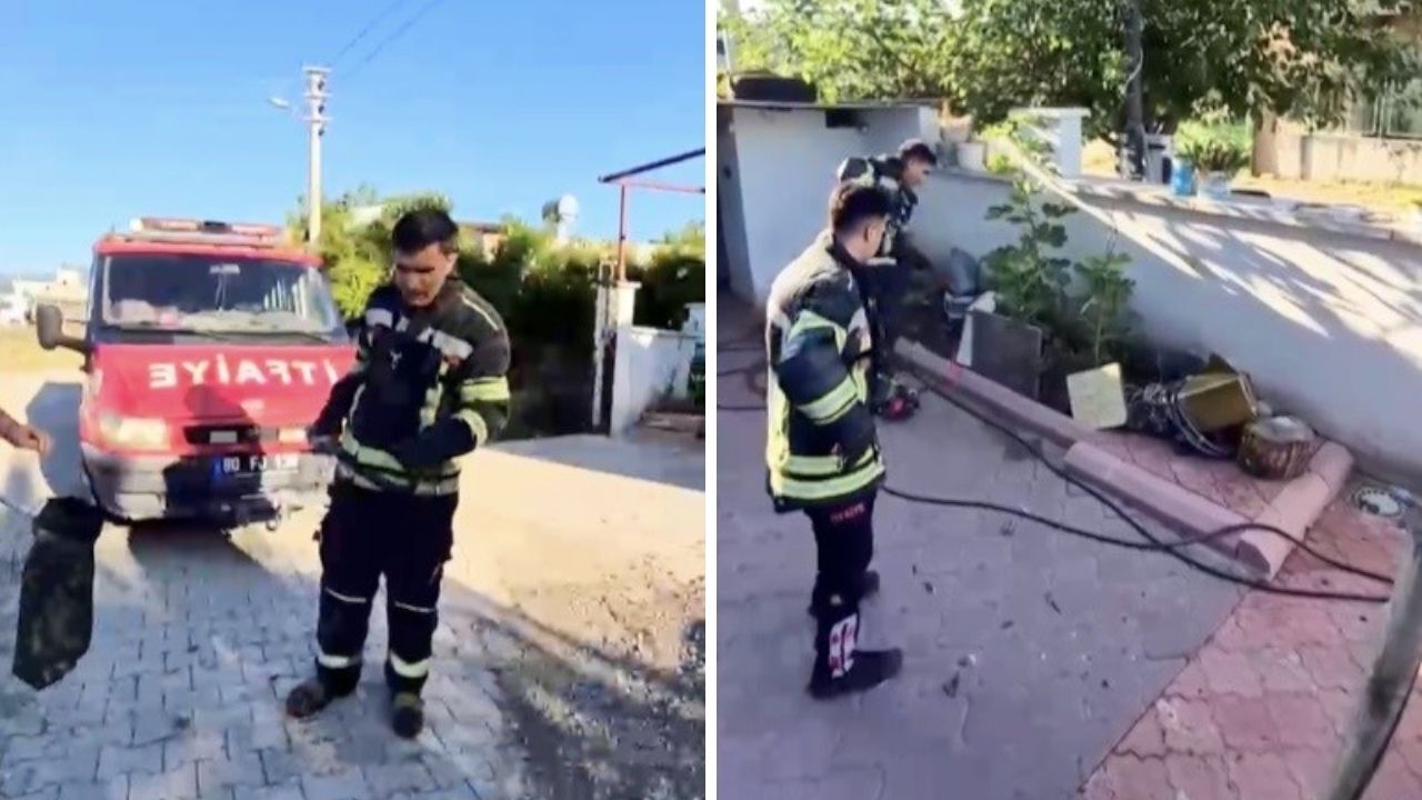 Osmaniye'de Evin Avlusunda Kara Yılan Paniği! (1)