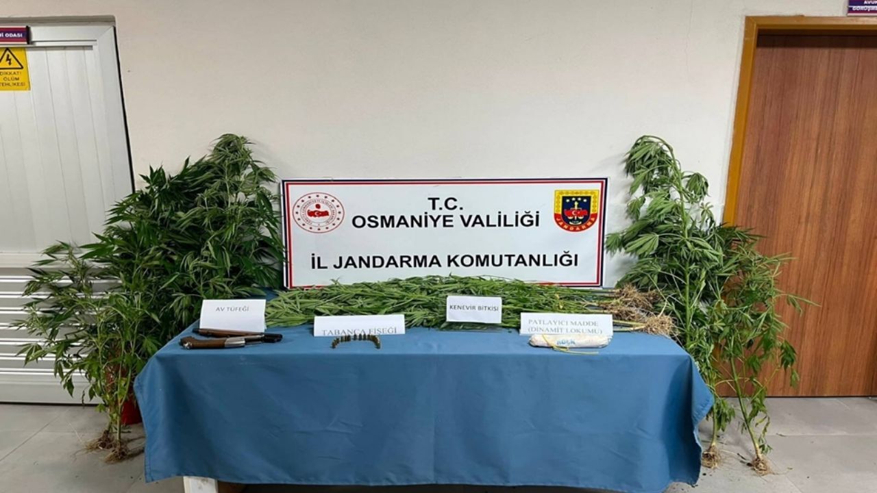 Osmaniye'de Jandarmadan Dev Operasyon! 164 Şüpheli Yakalandı, Cephanelik Ele Geçirildi (1)