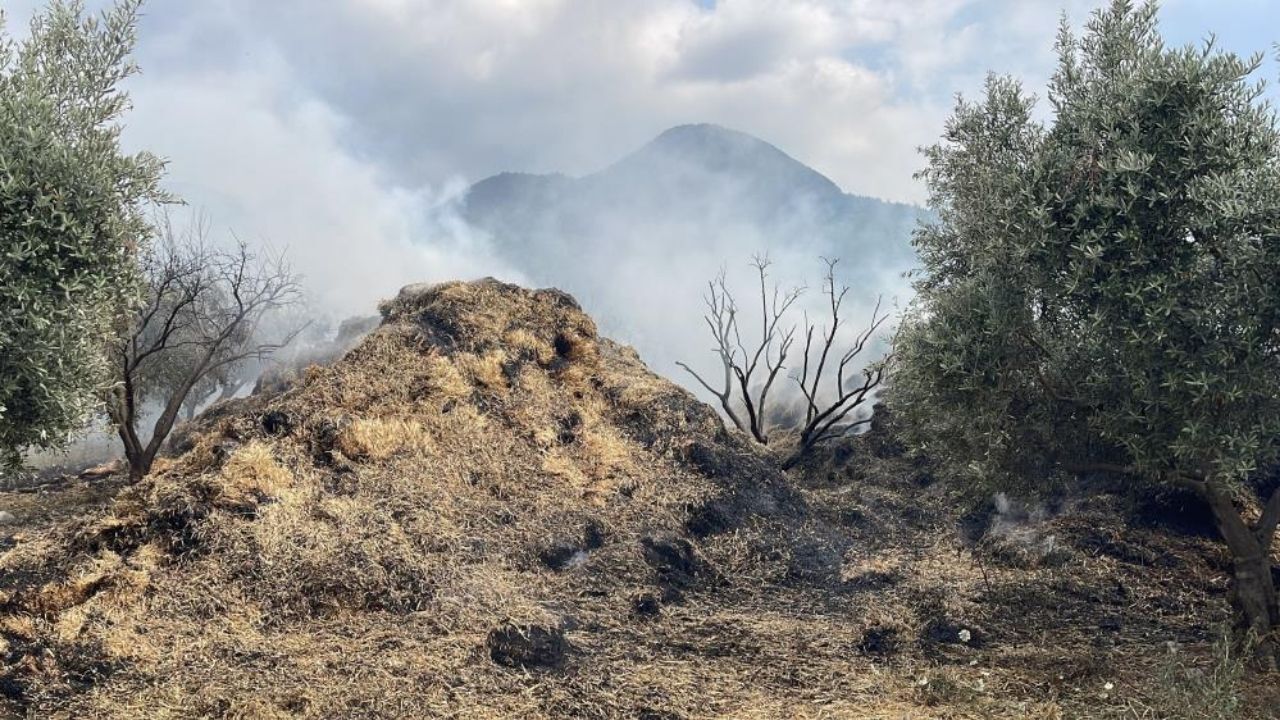 Osmaniye'de Korkutan Yangın! Mahallenin Çocukları Yaktı, Bin 200 Balya Kül Oldu