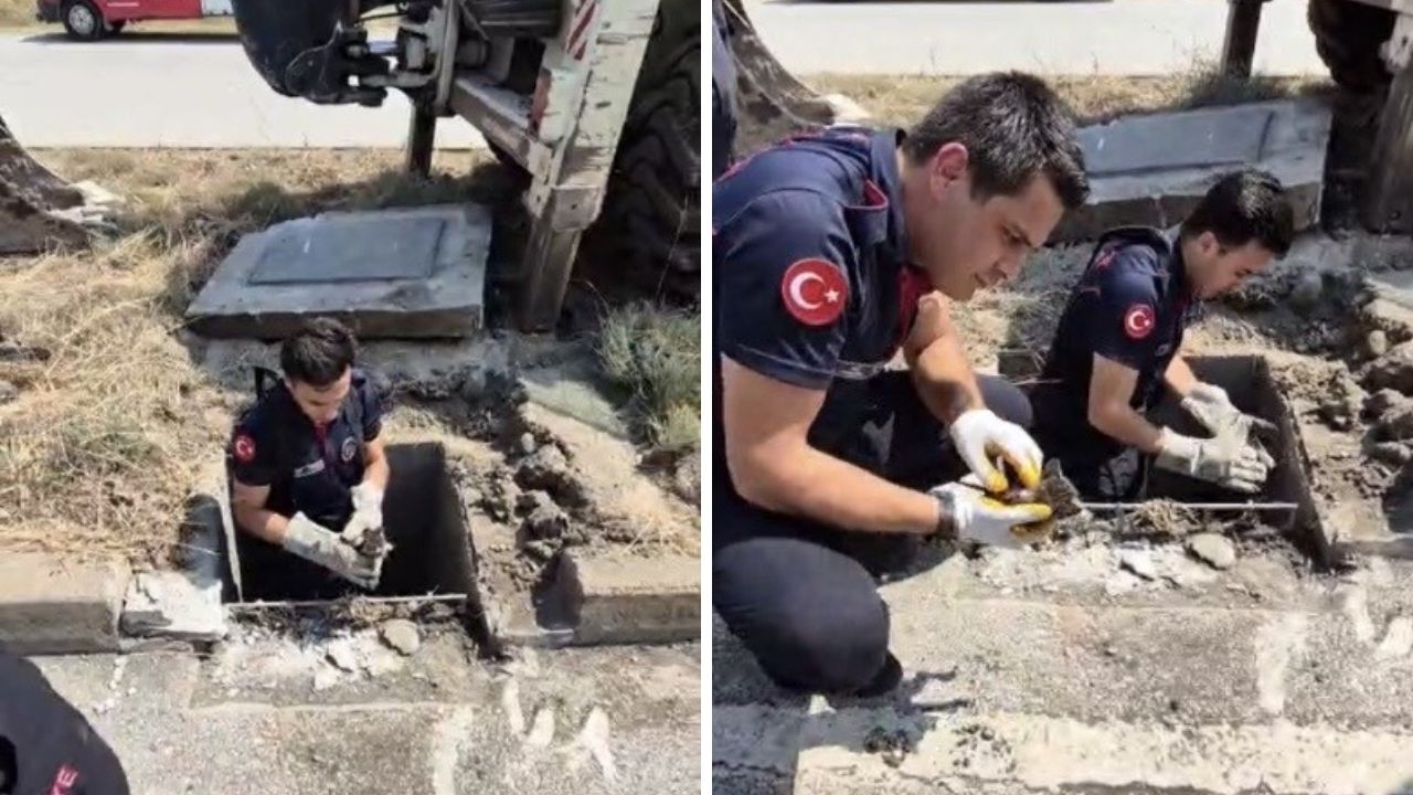 Osmaniye'de Mazgala Düşen Yavru Kedi İçin İtfaiye Seferber Oldu! (1)