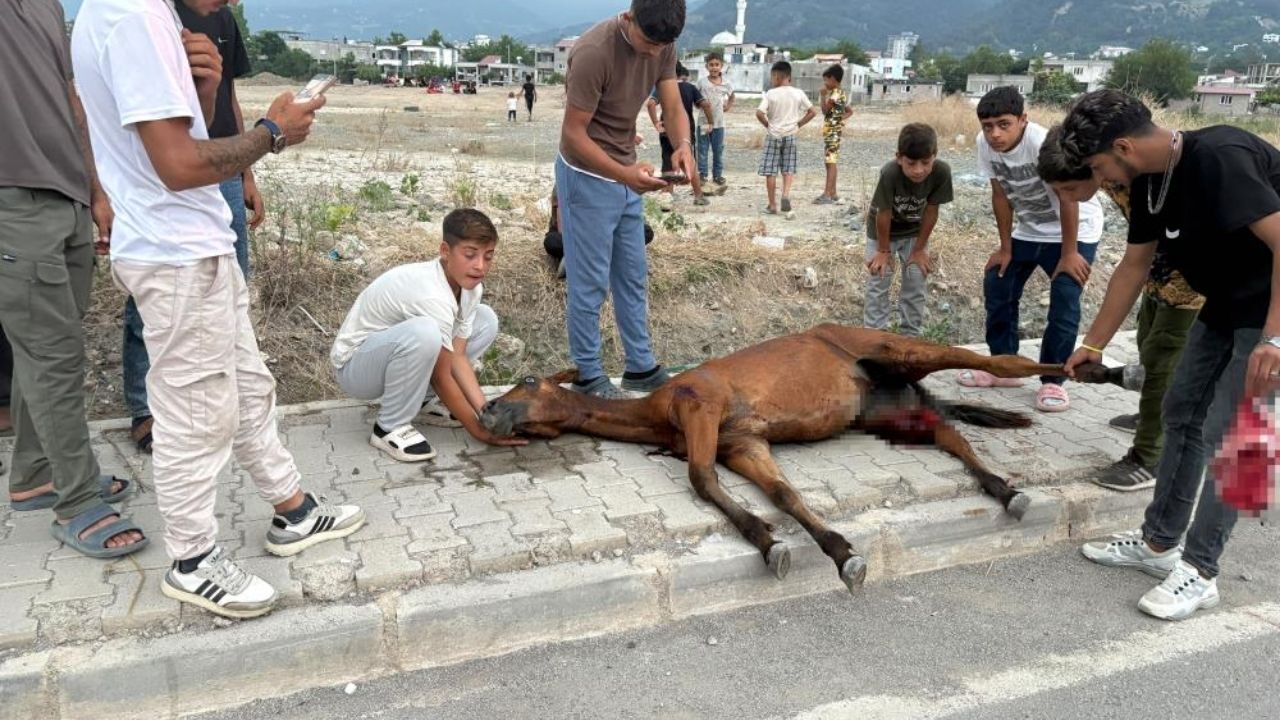 Osmaniye'de Yolcu Otobüsü Ata Çarptı (1)