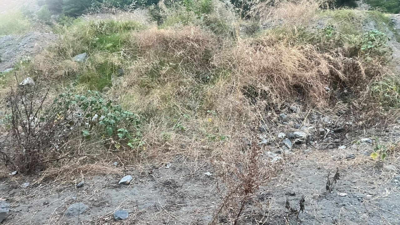 Pikniğe Geldik, Pişman Olduk! Osmaniye Karaçay'da Çöp Ve Bakımsızlık Tepkisi (1)