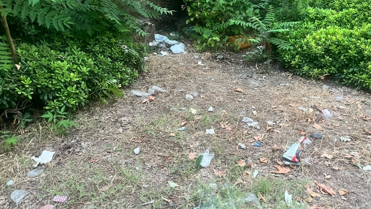 Pikniğe Geldik, Pişman Olduk! Osmaniye Karaçay'da Çöp Ve Bakımsızlık Tepkisi