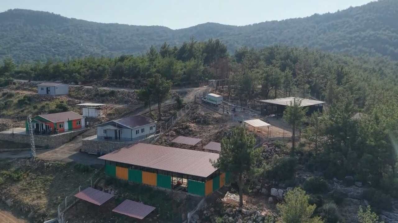 Sokağa Terk Edilen Sevimli Dostlar Için Önlemler Alındı (1)