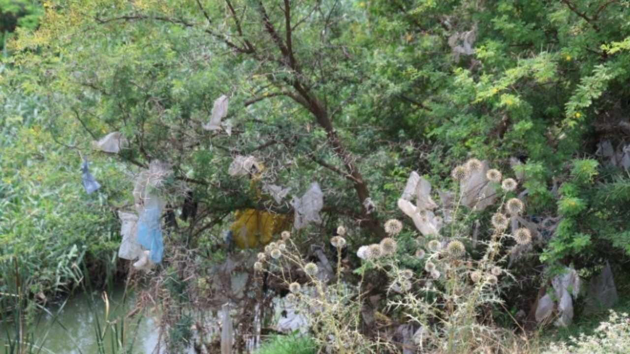 Yassıçalı Mahallesi Içinde Çevre Felaketi Neden Önlenemiyor (3)
