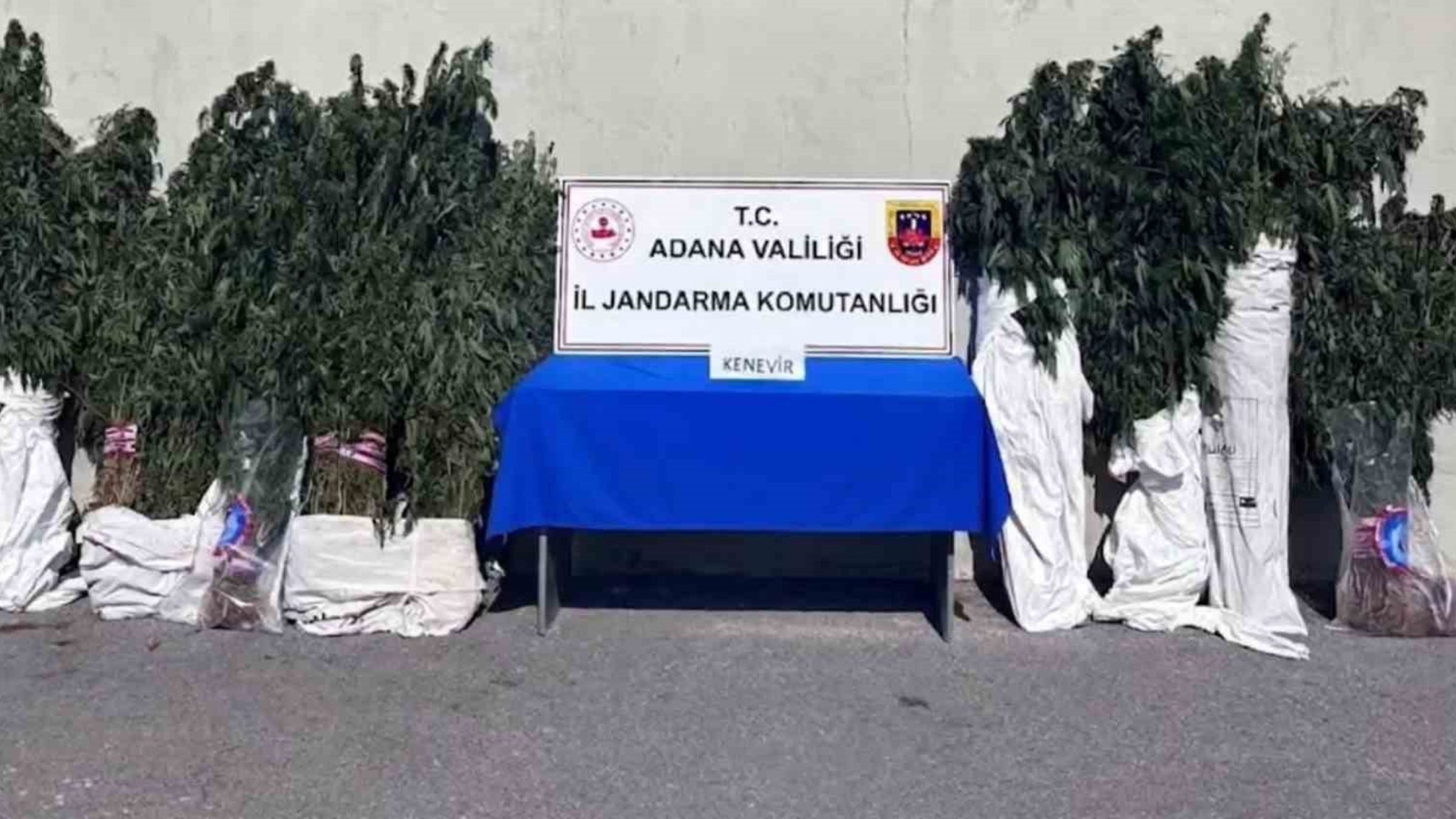 Adana'daki Drone Destekli Yasaklı Madde Operasyonu Gerçekleştirildi (2)