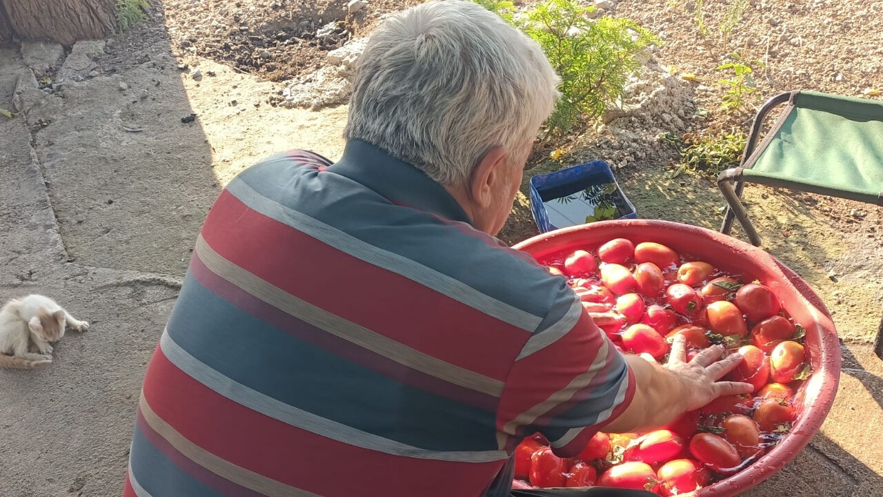 Domates Salçası (2)
