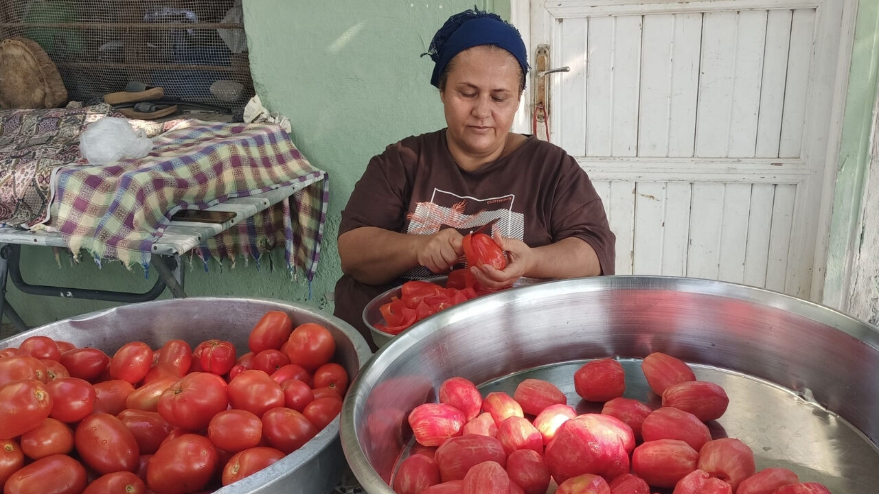 Domates Salçası