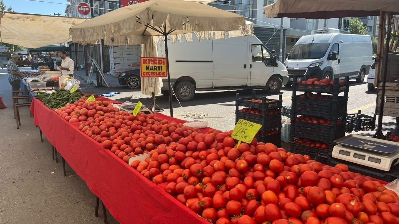 En Pahalı Domates Osmaniye'nin! (1)