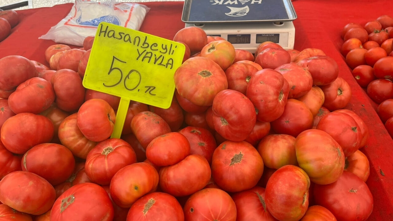 En Pahalı Domates Osmaniye'nin! (3)