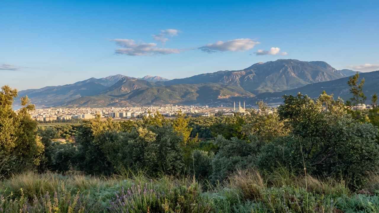 Eski Erzin Yolu (3)