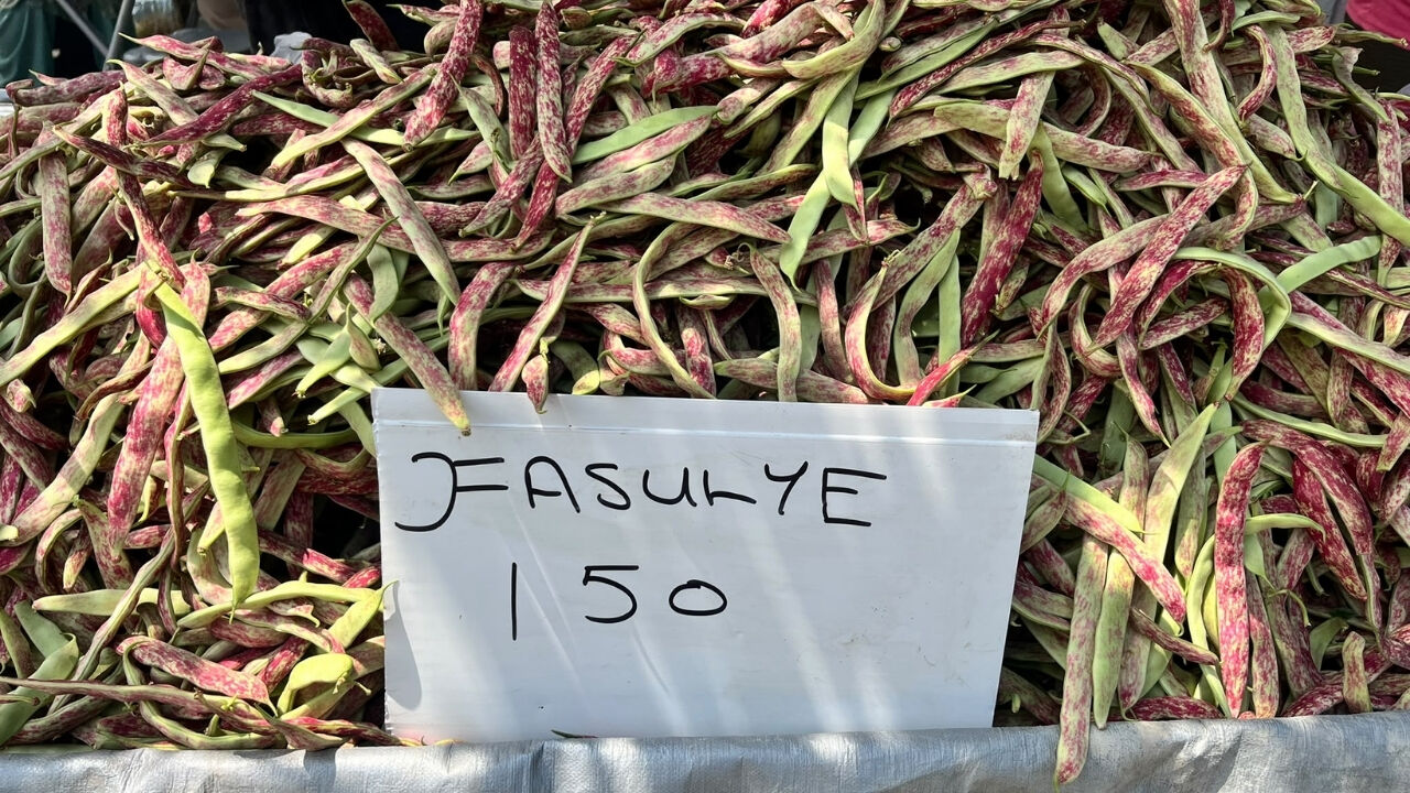 Fasulye