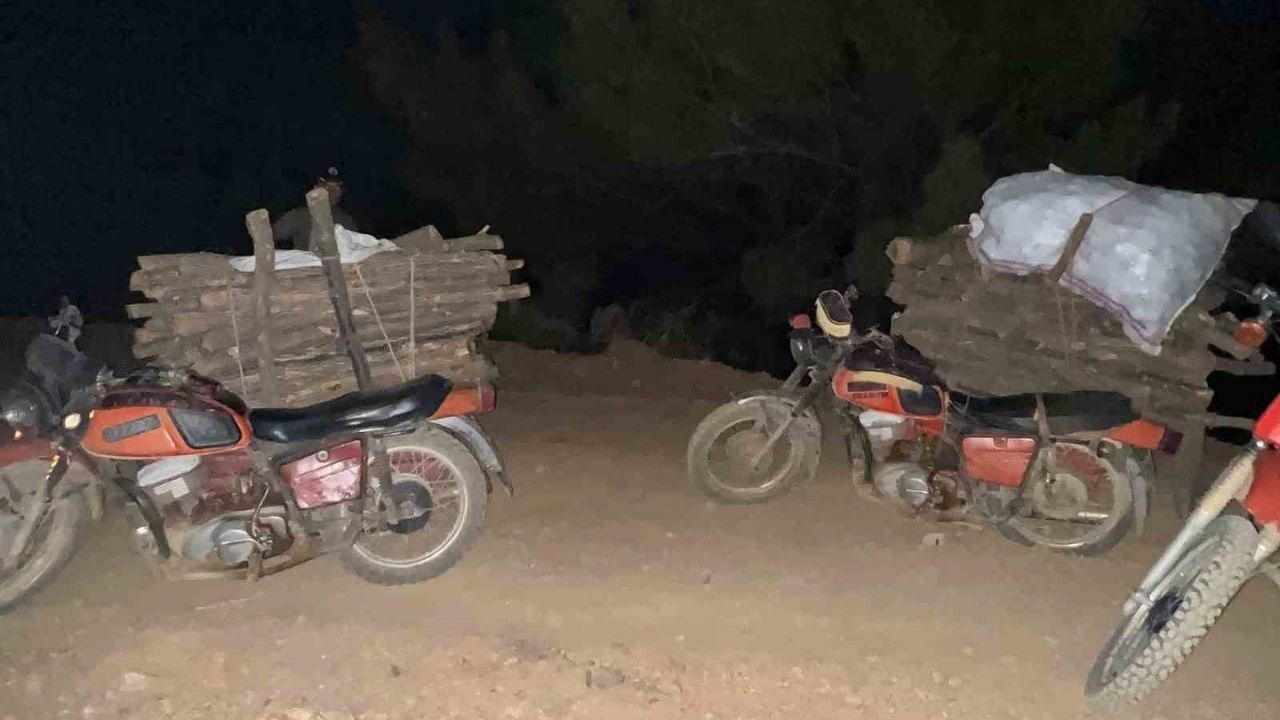 Hatay Ormanlarında Usulsüz Kesim Yapan Şahıslar Suçüstü Yakalandı (2)