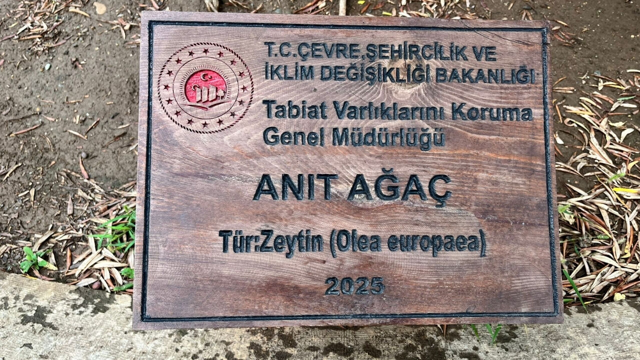 İmparatorluklar Geçti, O Hâlâ Ayakta! Tarihe Meydan Okuyan Yaşam (1)