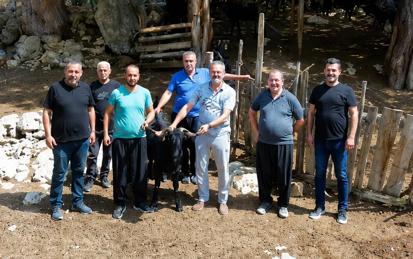 Kadirli Yaylalarında Hayvan Sağlığı İçin Saha Çalışması
