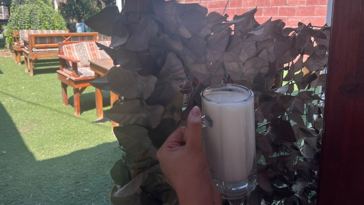 Misis Ayranı’nın Yanına Sıcak Gözleme! Adana’da Lezzet Molası (2)