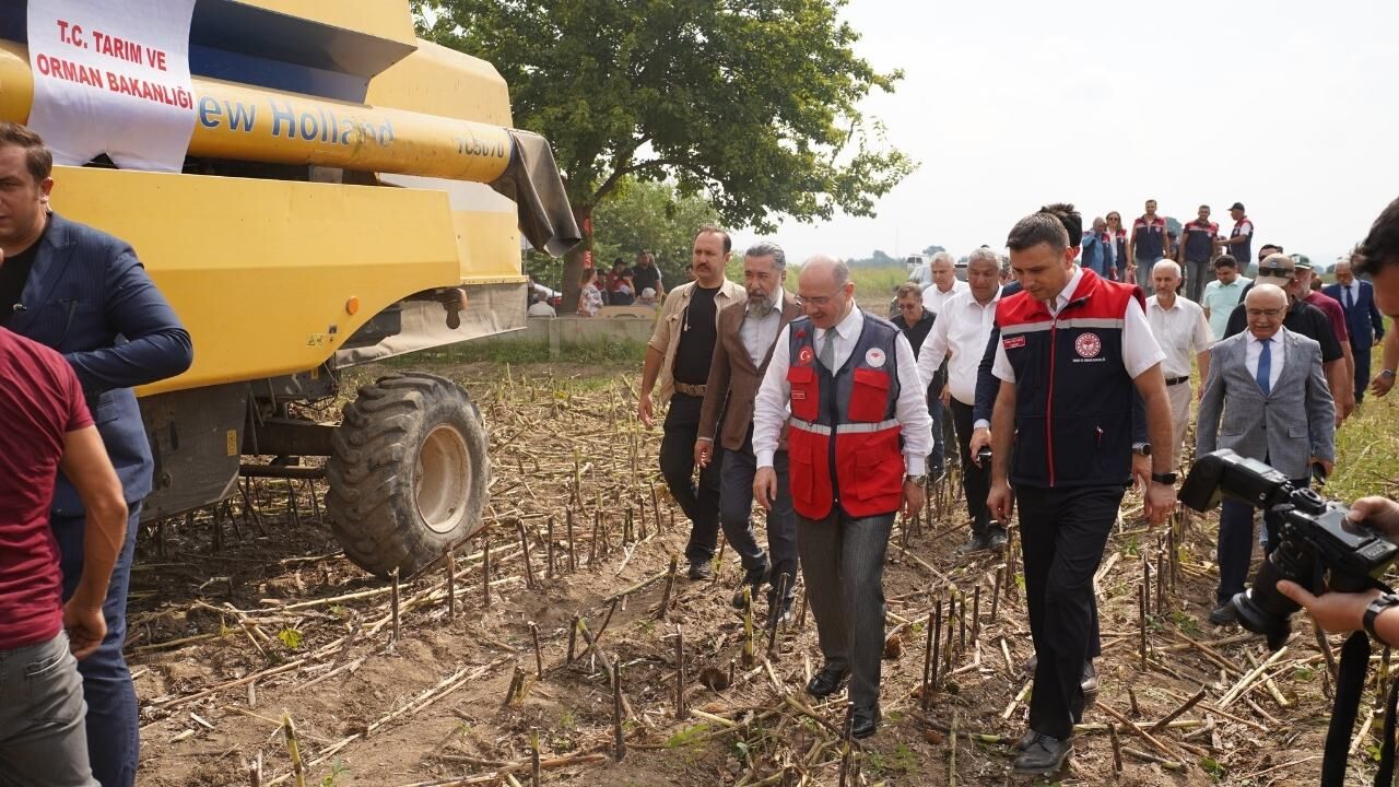 Osmaniye Ayçiçek Hasadında Türkiye 17.'Si Oldu! (2)