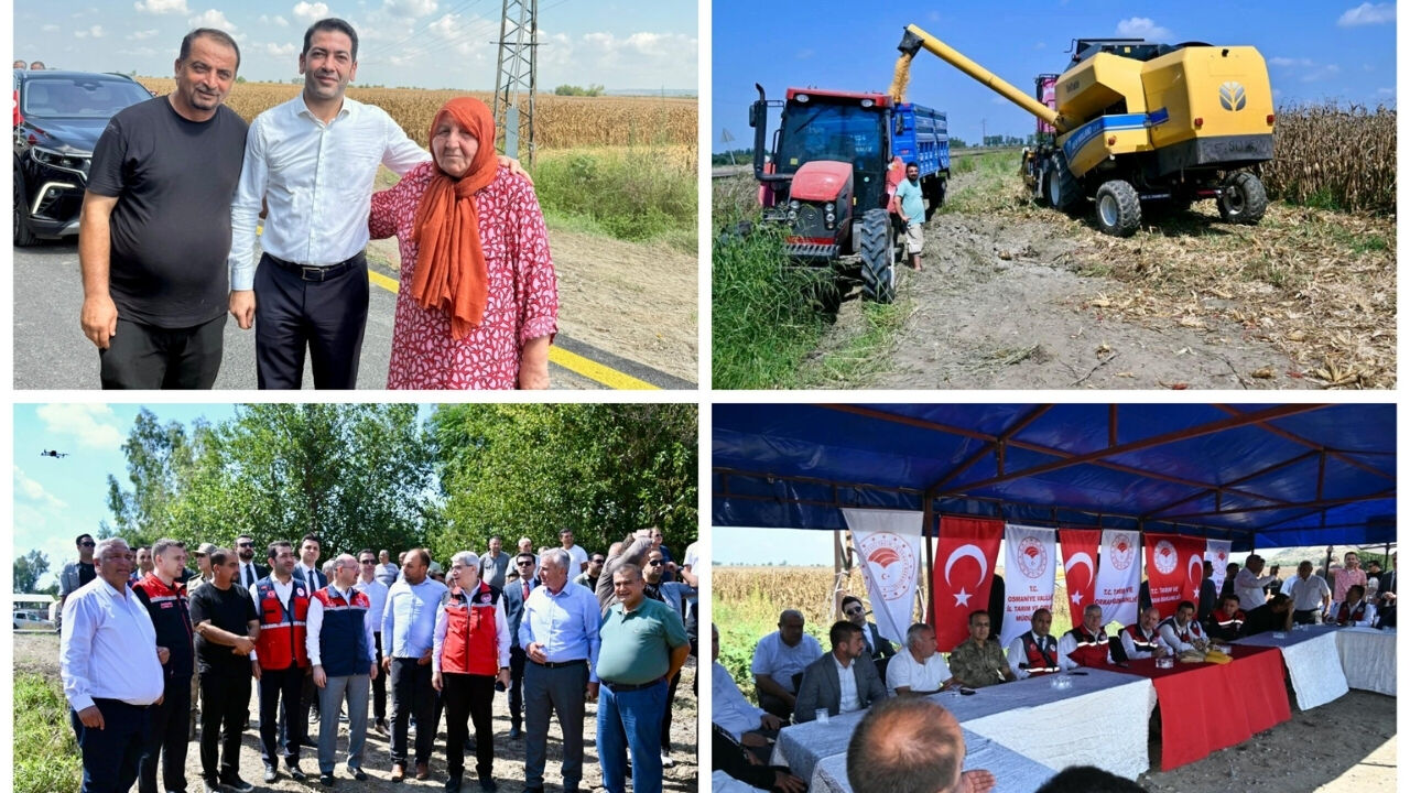 Osmaniye’de Mısır Hasat Töreni Yapıldı! Protokol Çiftçilerle Bir Araya Geldi-1