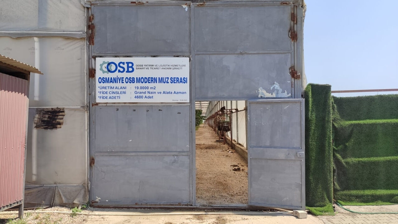 Osmaniye Osb Modern Muz Serası