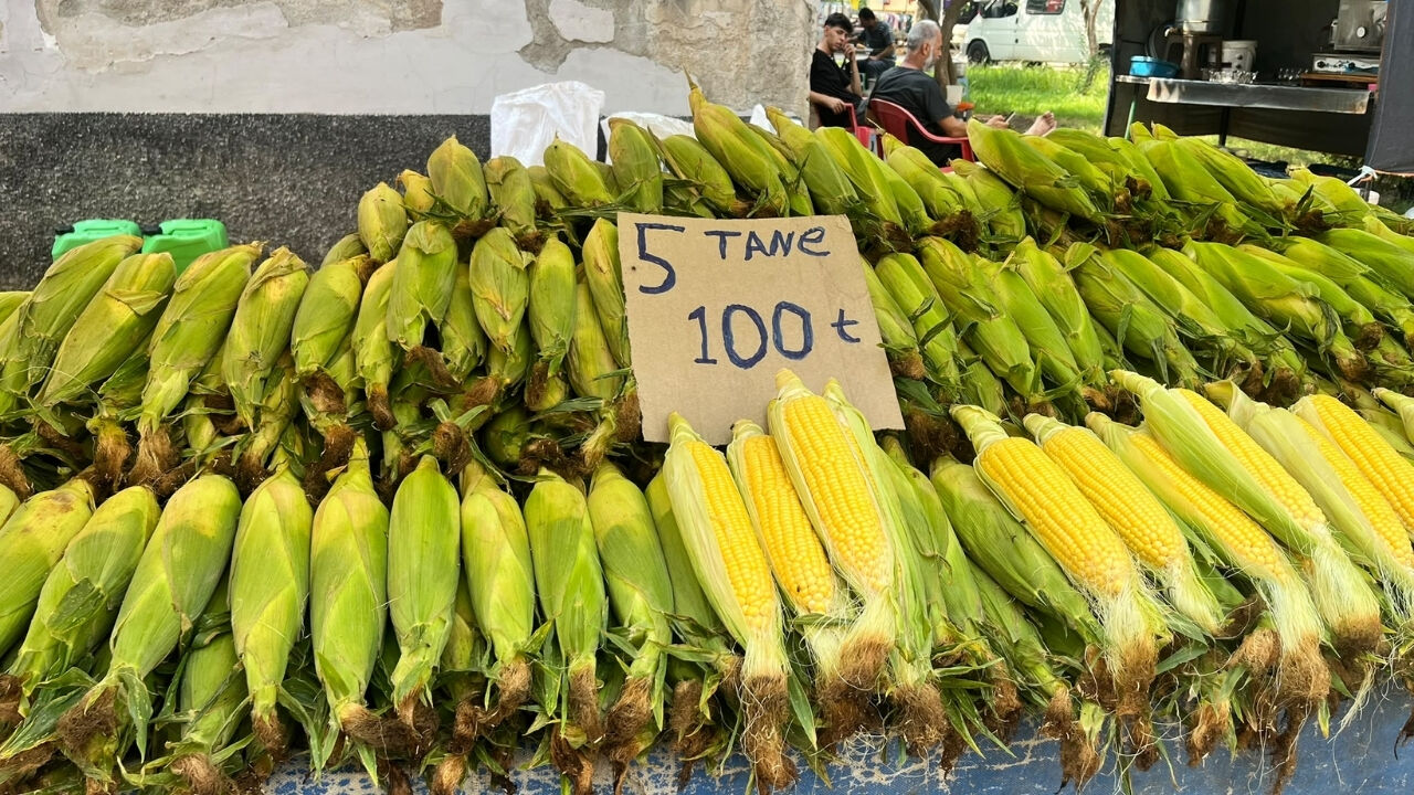 Osmaniye Pazar (1)