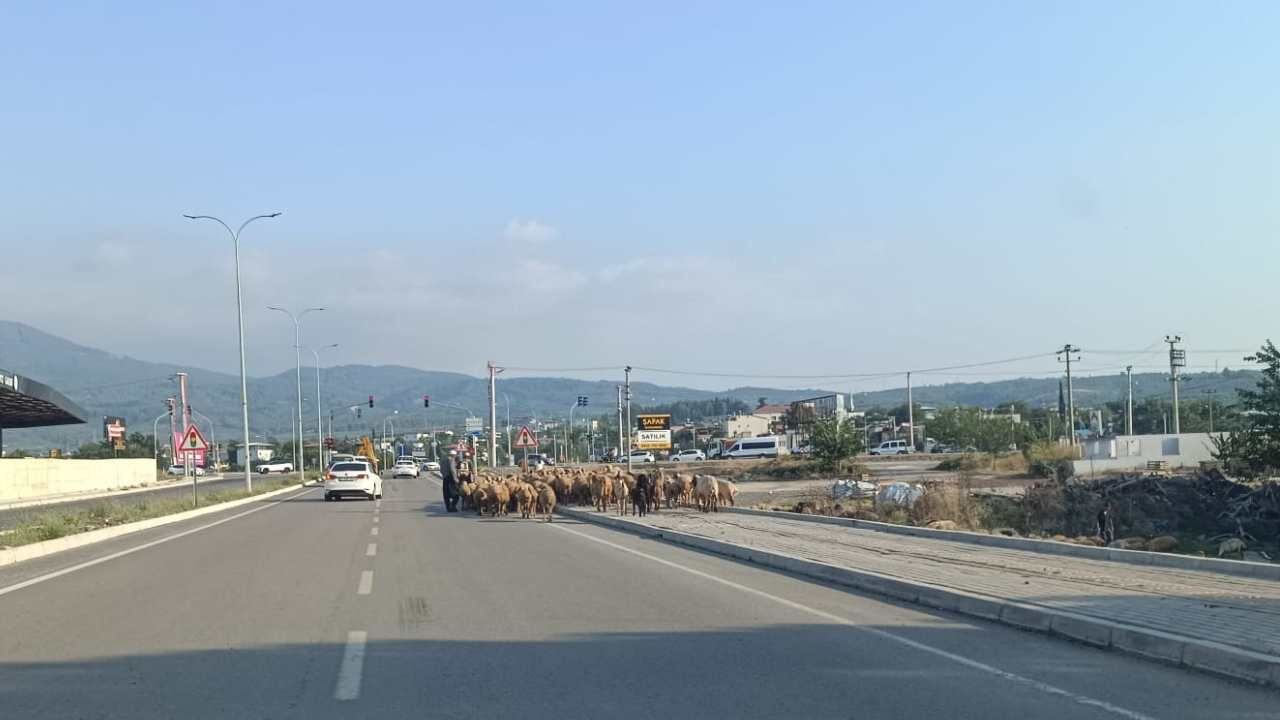 Osmaniye Trafiğinde Şaşırtan Manzara