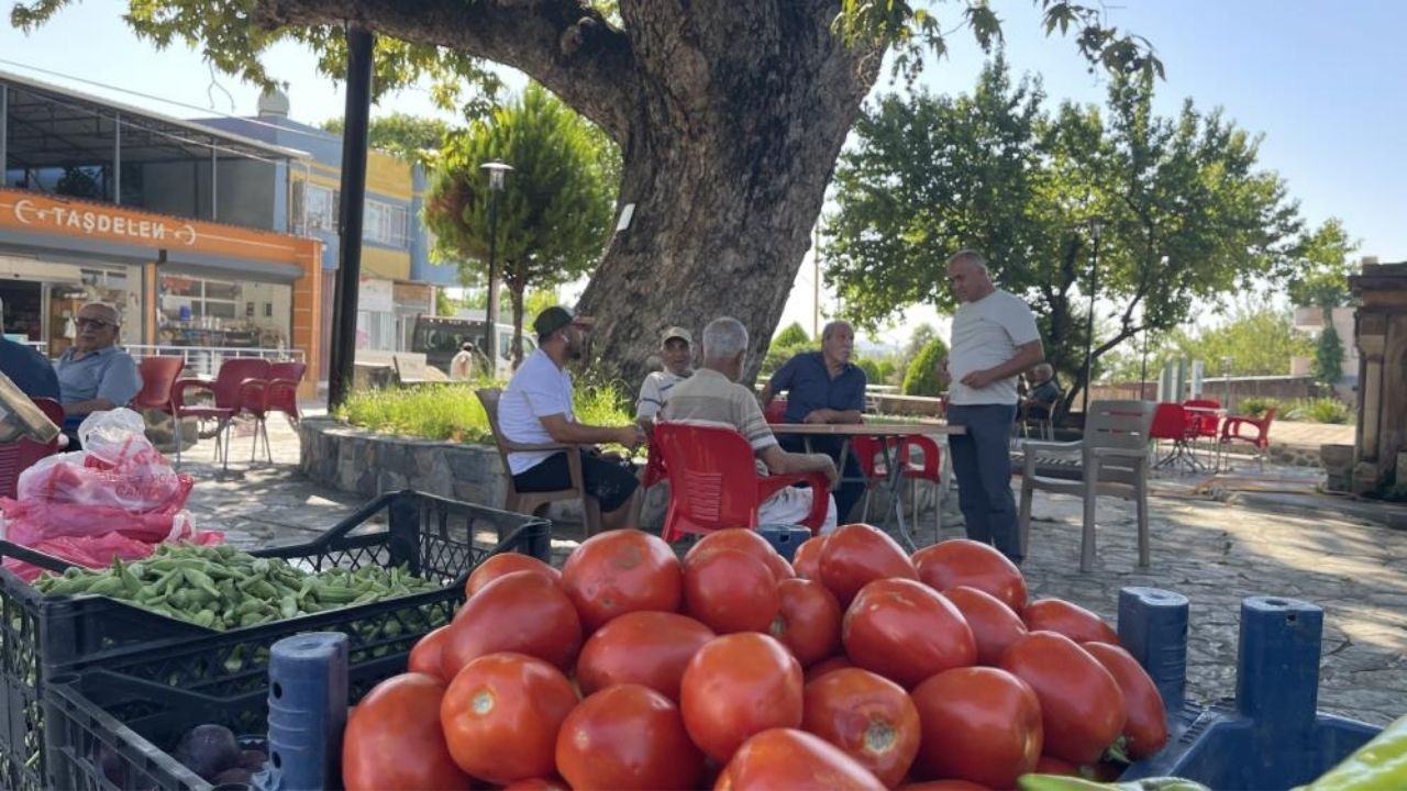 Osmaniye’de 3 Asırlık Çınar Sıcaklardan Kaçanların Adresi Oldu (1)