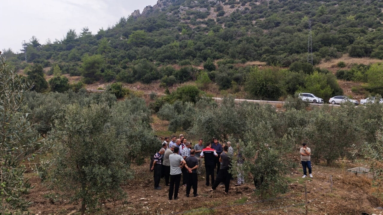 Osmaniye’de Dolu Felaketi! Tarım Ekipleri Zeytin Bahçeleri İçin Seferber Oldu (2)