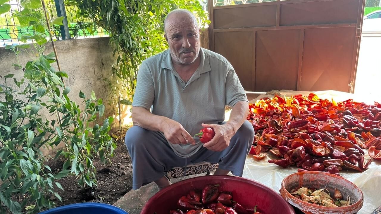 Osmaniye'de Salçalık Biber Sezonu Başladı (4)