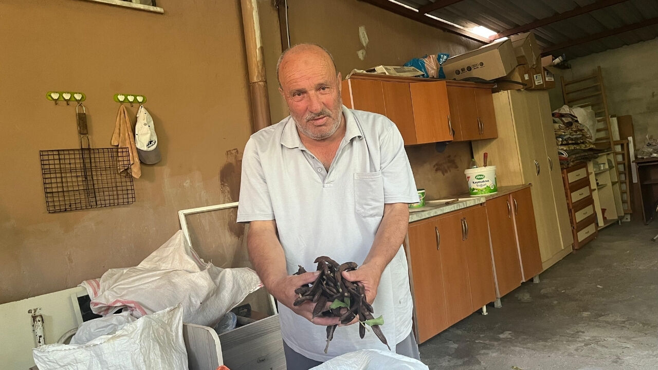 Osmaniye'de Şifa Kaynağı Keçiboynuzu Hasadı Başladı (2)